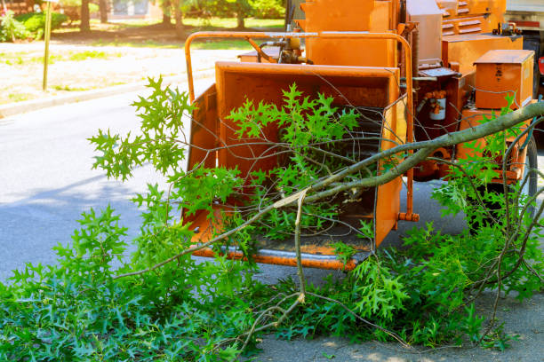 Best Lawn Irrigation Installation and Maintenance  in Rantoul, IL